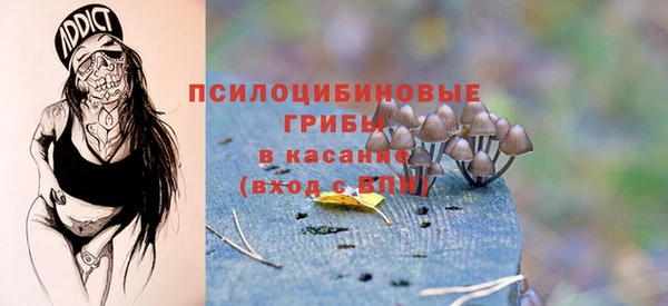 ALPHA PVP Богданович